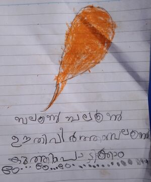 19833-MLP-KUNJ-1A-Muhammed Sahzin.jpg