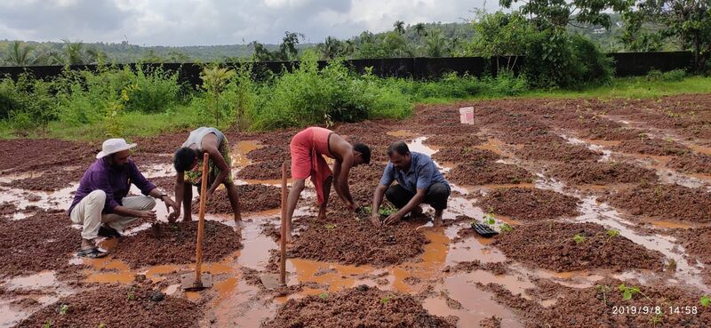 പ്രമാണം:19833 krishi21.jpg