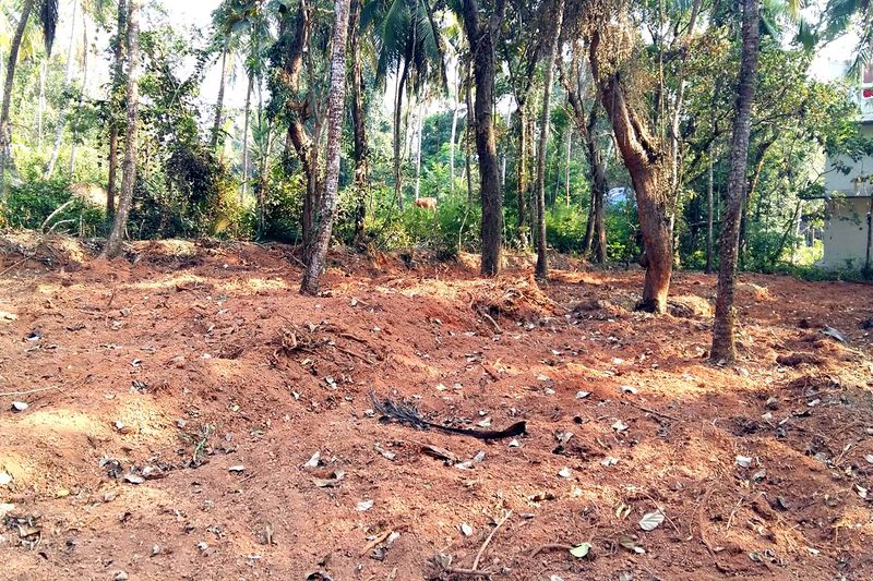 പ്രമാണം:20161124 153957srrgnjnd.jpg