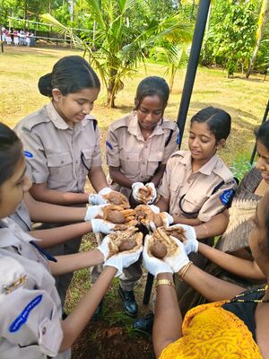 23080-സീഡ് ബോൾ നിർമ്മാണം .jpeg