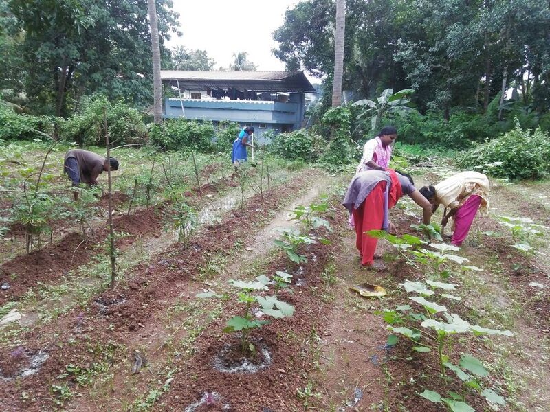 പ്രമാണം:23310 agri.jpg