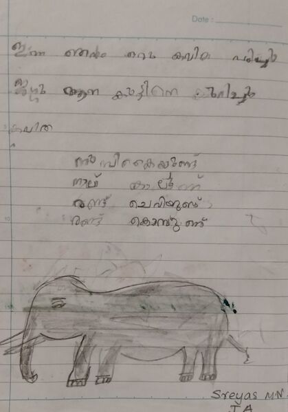 പ്രമാണം:26207 EKM KUNJ Sreyas MN.jpg