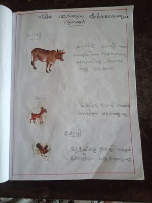 35420-ALP-KUNJU- NIRUPAMA.jpg