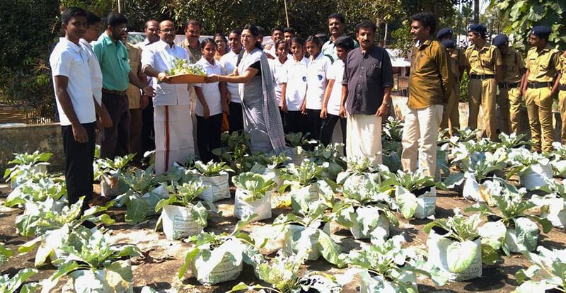 പ്രമാണം:42021 10115.jpg