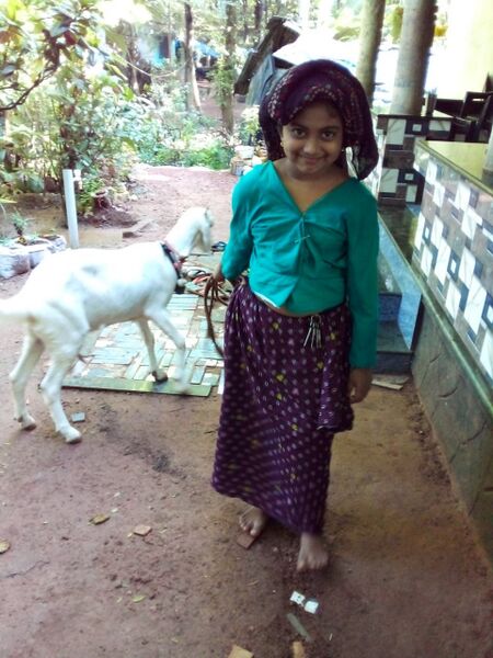 പ്രമാണം:42205 basheer day 2.jpeg