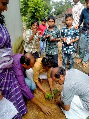 42662-paristhithi dinam09..jpg