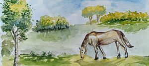 47017 Saviyo 7 C -2.jpg