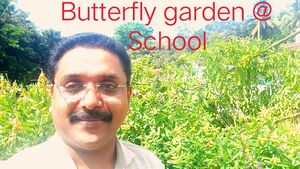 47646 Butterfly garden.jpeg