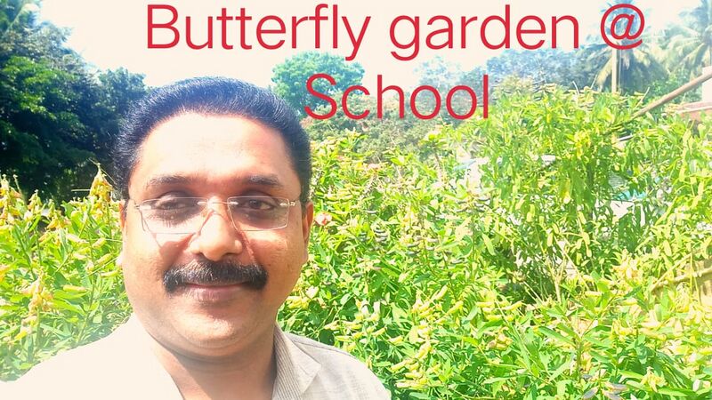 പ്രമാണം:47646 Butterfly garden.jpeg