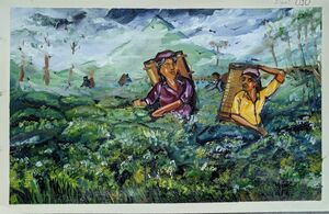 SSK2025-26 903 HSS General A 10 33040.jpg