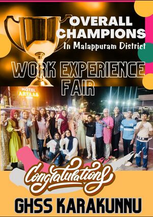 18026- work experience Fair overall.jpg