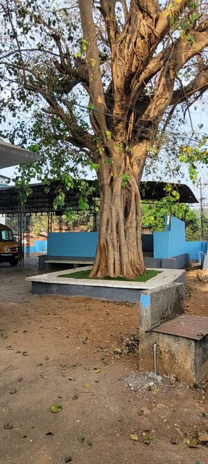 18332 Hitechgreenery.jpg