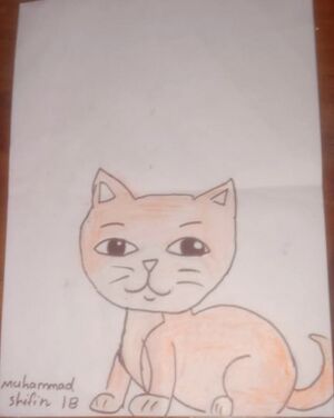 19211-MLP-KUNJ-MUHAMMED SHEFIN A P.jpg