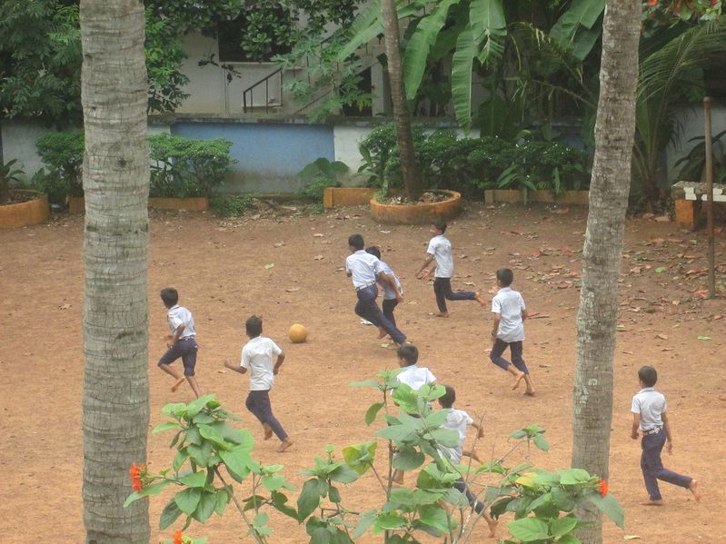 പ്രമാണം:24071 YO9.JPG