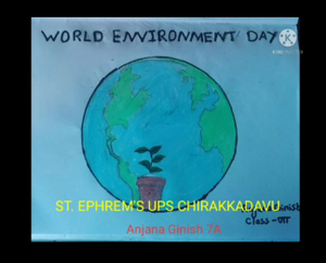 32371-environmental day.png
