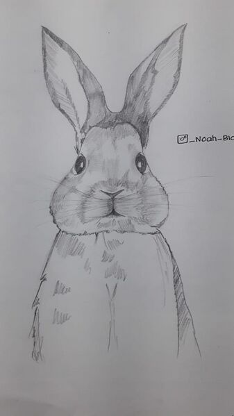 പ്രമാണം:33056 talent 2022 17.jpeg