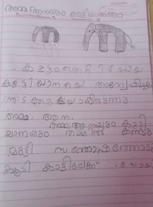 35229-ALP-KUNJ-SALMANUL FARIZI ID.jpg