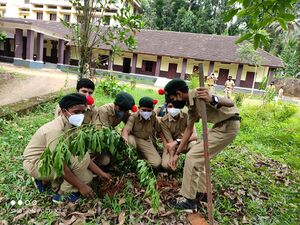 Cadets Planting Trees.jpg