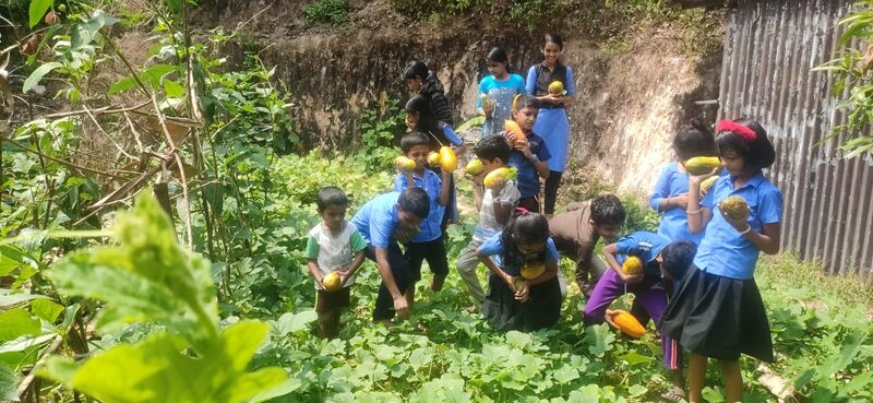 പ്രമാണം:11453krishi 6.jpeg