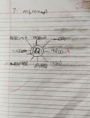 14756-KNR-KUNJ-AMANA SUBAIR P.jpeg