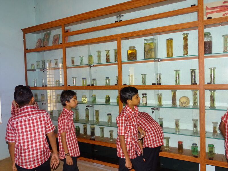 പ്രമാണം:19068 SCIENCE LAB 3.JPG