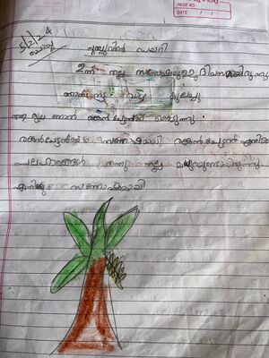 19334-MLP-KUNJ-RISHAV .jpeg