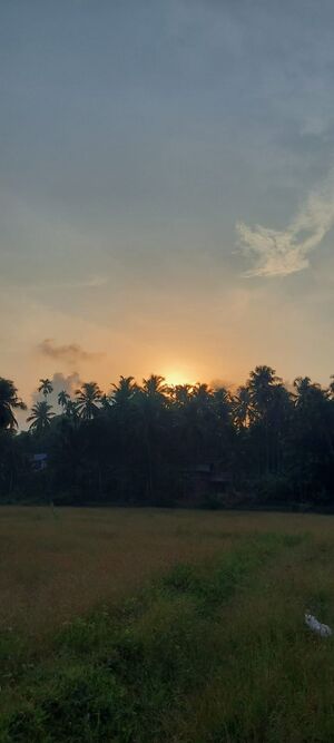 19863 ente gramam.jpg