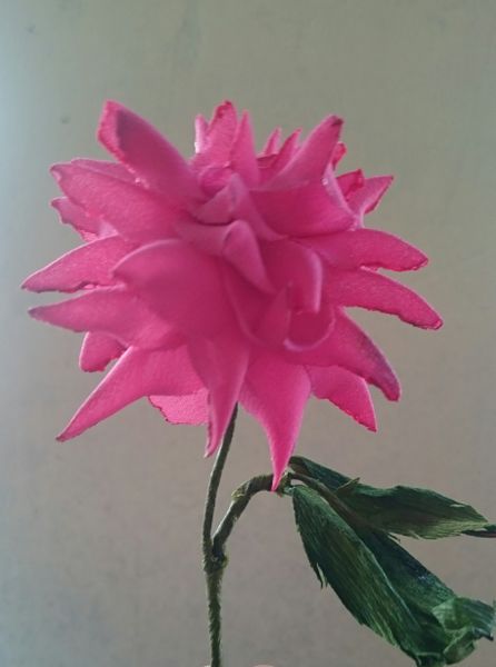 പ്രമാണം:26056 01.JPG