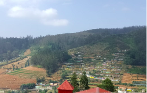 30001 Hightec Gramam.png