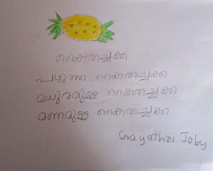 31516-KTM-KUNJ-Gayathri Joby.jpeg