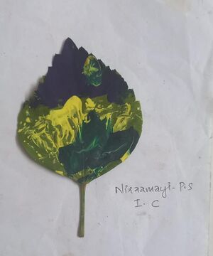 43035-TVM-KUNJ-NIRAMAYI P S.jpg