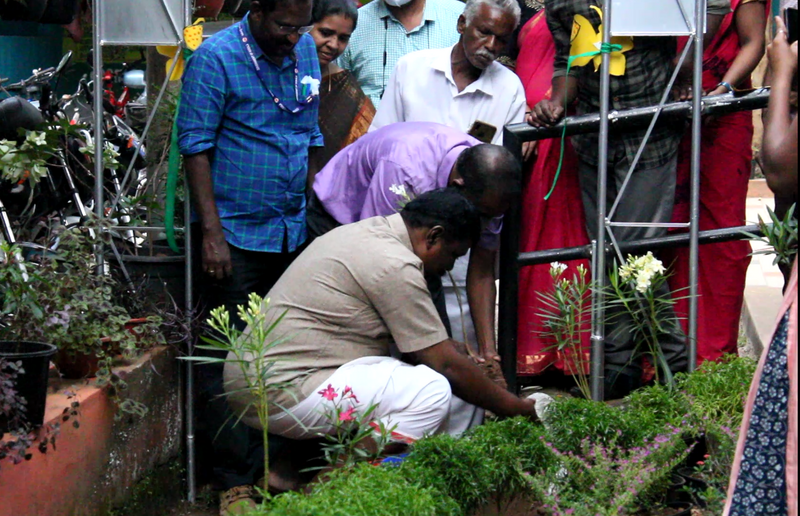 പ്രമാണം:44055 salaba plant.png