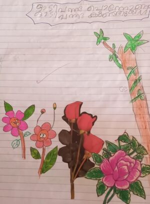 45034-KTM-KUNJ-Noel Fenil.jpg