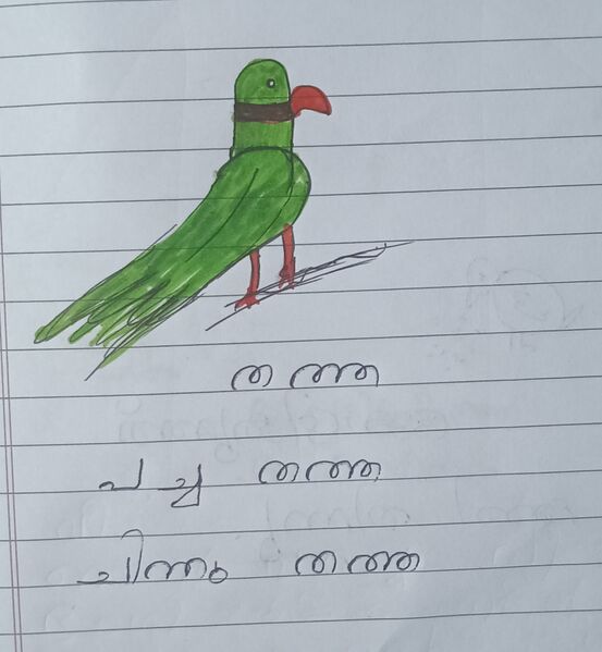 പ്രമാണം:46321-ALP-KUNJ-SHALET VARGHESE.jpeg