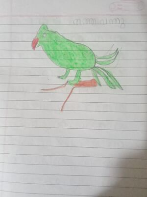 47440-Kunj-KKD-Ashvin K.jpeg