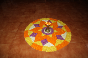 48051 mlp dp 2019 3.png