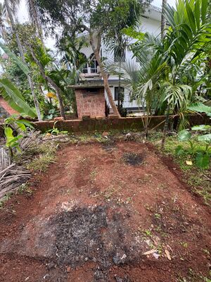 Chss krishithottam.jpg