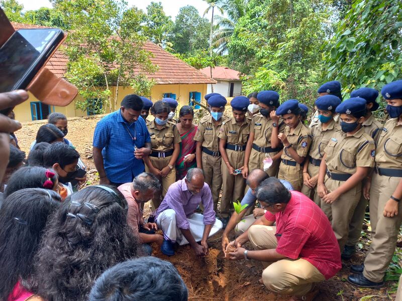 പ്രമാണം:Plaavu jayan.jpeg