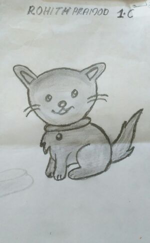 WhatsApp Image 2024-03-19 at 11.23.28 AM.jpeg