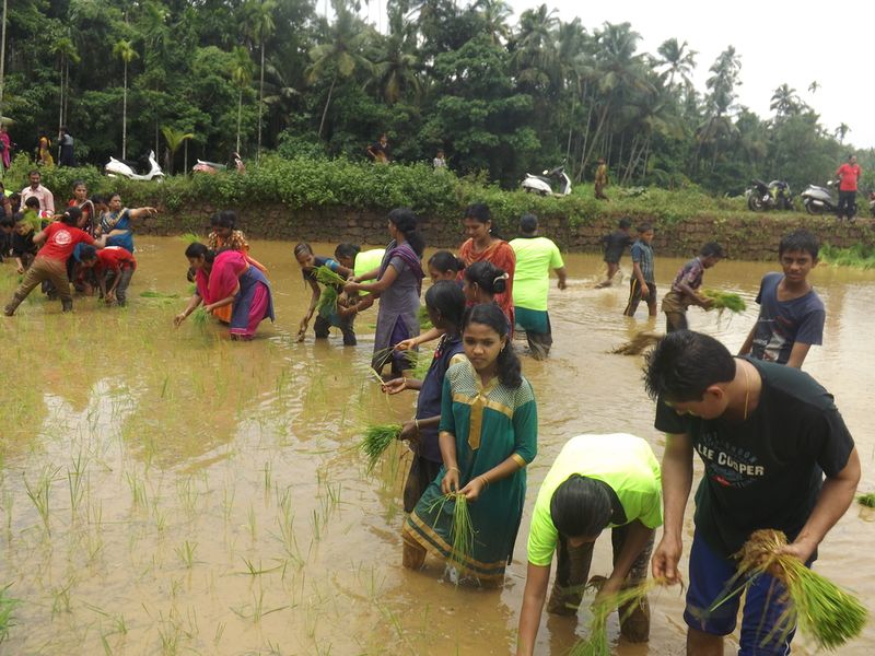 പ്രമാണം:12060 naatti 5.JPG