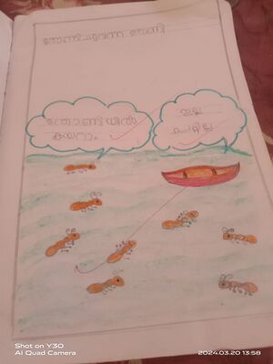 15205-WYD-KUNJ-Minsha Mehrin.jpeg