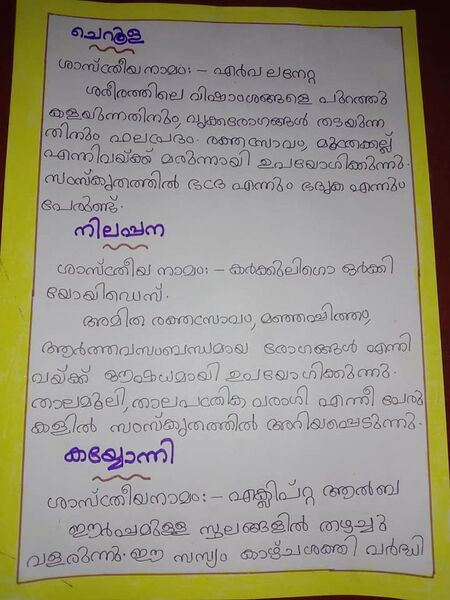 പ്രമാണം:16256 KARKKIDAKAM13.jpg