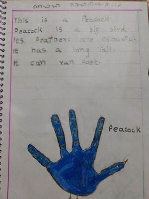 18331-MLP-KUNJ-FAIHA MEHARIN.jpg