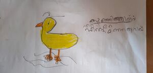 18532-MLP-KUNJ-AMNIYA ASHRAF.jpg