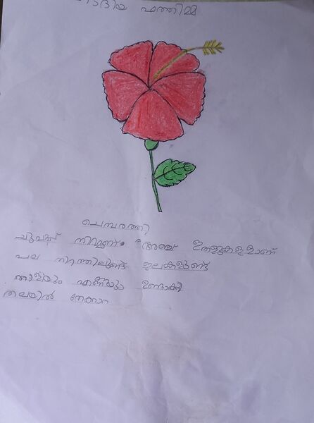 പ്രമാണം:19743-MLP-KUNJ-HADIYA FATHIMMA.jpg