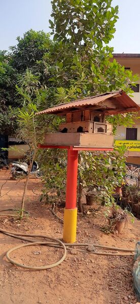 പ്രമാണം:19811 HITECH BIODIVERSITY PARK.jpg