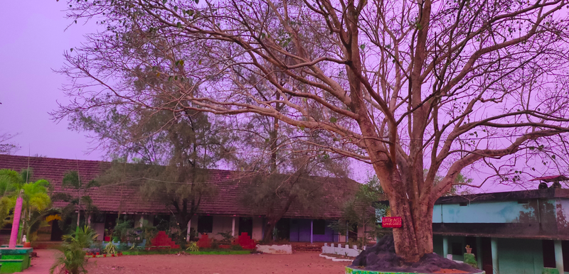 പ്രമാണം:20005-school photo.png