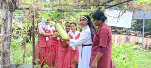 22267 vegetables.jpg