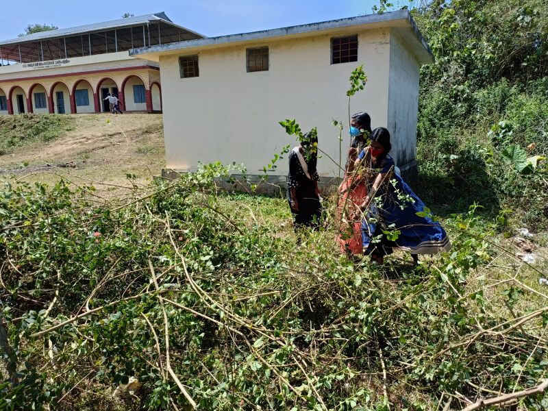 പ്രമാണം:30039 ecoclub2.jpeg