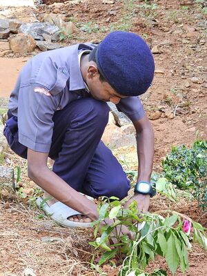 31037 Environmentday 1.jpg